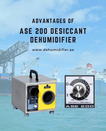 Desiccant container dehumidifier